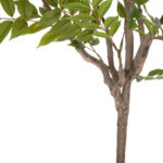 ΔΙΑΚΟΣΜΗΤΙΚΟ ΣΥΝΘΕΤΙΚΟ ΦΥΤΟ LH10.4006 ΔΕΝΤΡΟ ΣΕ ΓΛΑΣΤΡΑ 190Υεκ. - Image 5