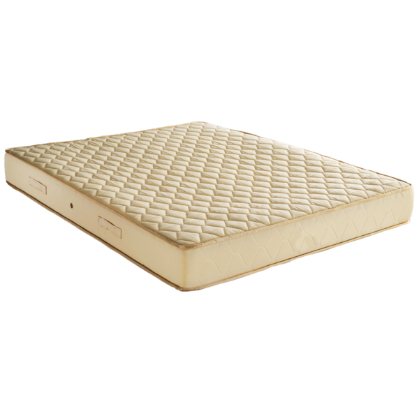 E04 Cotton3A