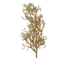 MLH ΚΛΑΔΙ ΧΡΥΣΟ ΜΕ ΜΠΙΛΑΚΙΑ 84 cm - Image 2