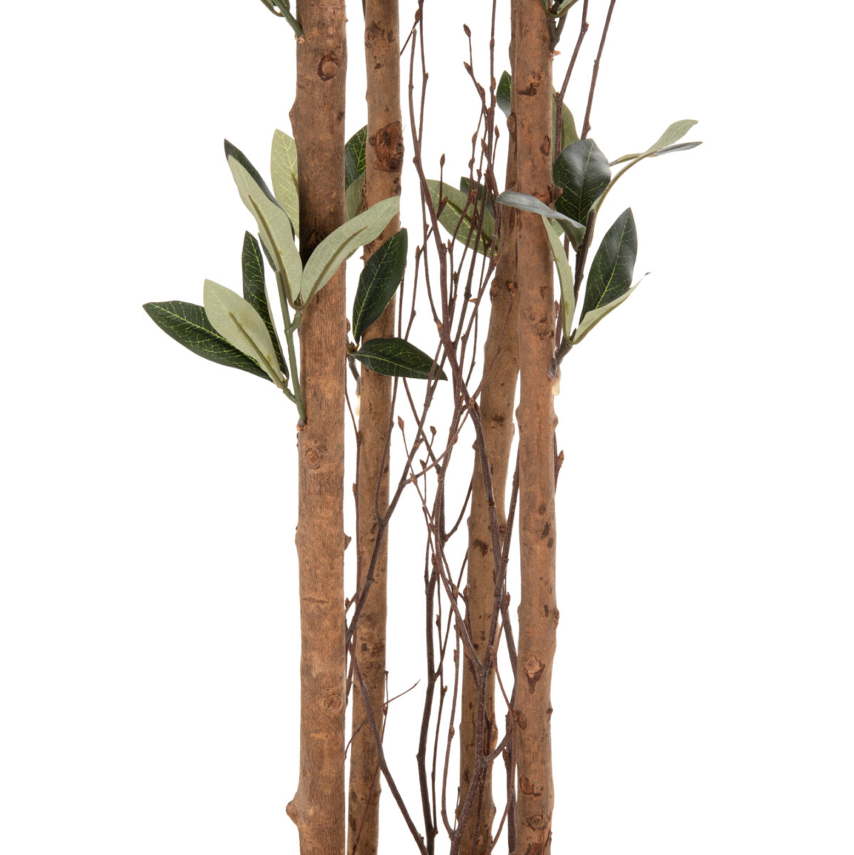 ΔΙΑΚΟΣΜΗΤΙΚΟ ΣΥΝΘΕΤΙΚΟ ΦΥΤΟ LH10.4009 ΕΛΙΑ ΣΕ ΓΛΑΣΤΡΑ 155Υεκ. - Image 5