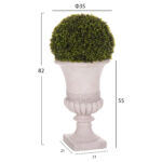 ΔΙΑΚΟΣΜΗΤΙΚΟ ΣΥΝΘΕΤΙΚΟ ΦΥΤΟ LH10.4023 ΠΥΞΑΡΙ ΣΕ ΑΜΦΟΡΕΑ ΜΑΓΝΗΣΙΟΥ 82Υεκ. - Image 2