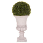 ΔΙΑΚΟΣΜΗΤΙΚΟ ΣΥΝΘΕΤΙΚΟ ΦΥΤΟ LH10.4023 ΠΥΞΑΡΙ ΣΕ ΑΜΦΟΡΕΑ ΜΑΓΝΗΣΙΟΥ 82Υεκ. - Image 3