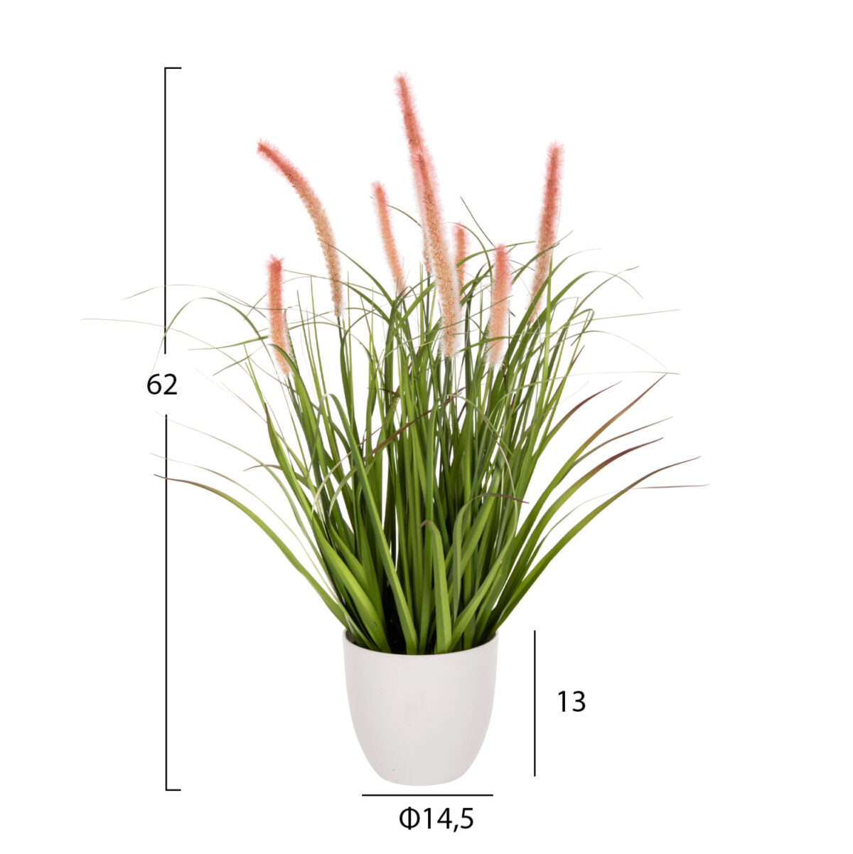 ΔΙΑΚΟΣΜΗΤΙΚΟ ΣΥΝΘΕΤΙΚΟ ΦΥΤΟ LH10.4029 BRISTLEGRASS ΣΕ ΓΛΑΣΤΡΑ Φ14,5x13-62Yεκ. - Image 2