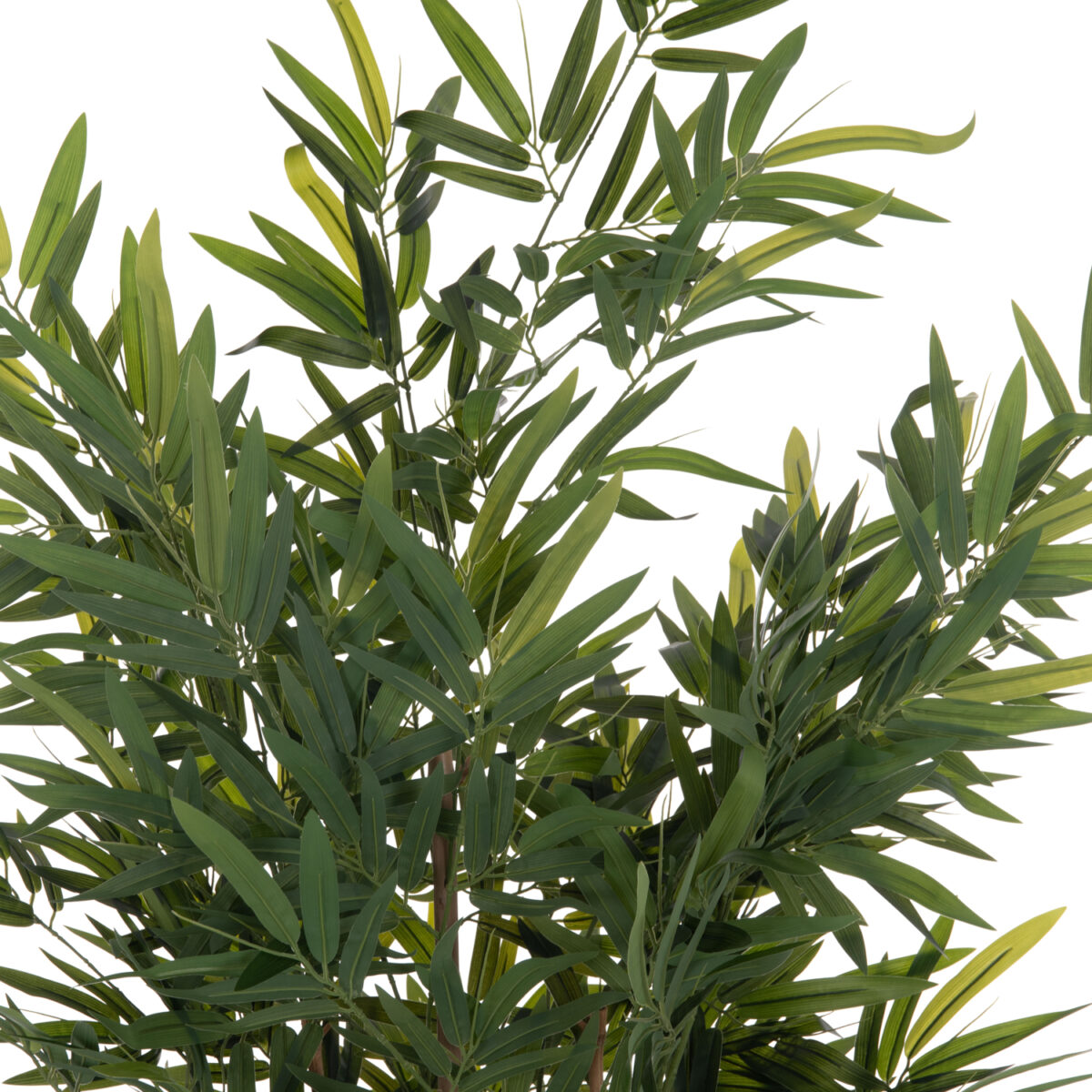 ΔΙΑΚΟΣΜΗΤΙΚΟ ΣΥΝΘΕΤΙΚΟ ΦΥΤΟ LH10.4736 BAMBOO ΣΕ ΓΛΑΣΤΡΑ 20x95x180Υεκ. - Image 3