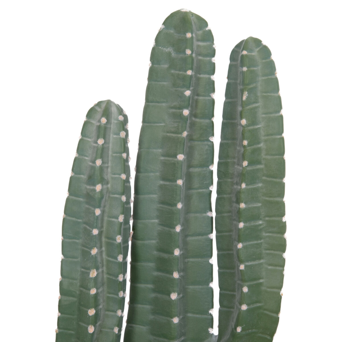 ΔΙΑΚΟΣΜΗΤΙΚΟ ΣΥΝΘΕΤΙΚΟ ΦΥΤΟ LH10.4742 ΚΑΚΤΟΣ ΜΕ ΓΛΑΣΤΡΑ 17,5x26x103Υεκ. - Image 4