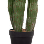 ΔΙΑΚΟΣΜΗΤΙΚΟ ΣΥΝΘΕΤΙΚΟ ΦΥΤΟ LH10.4747 ΚΑΚΤΟΣ ΜΕ ΓΛΑΣΤΡΑ Φ17,5x115Υεκ. - Image 5