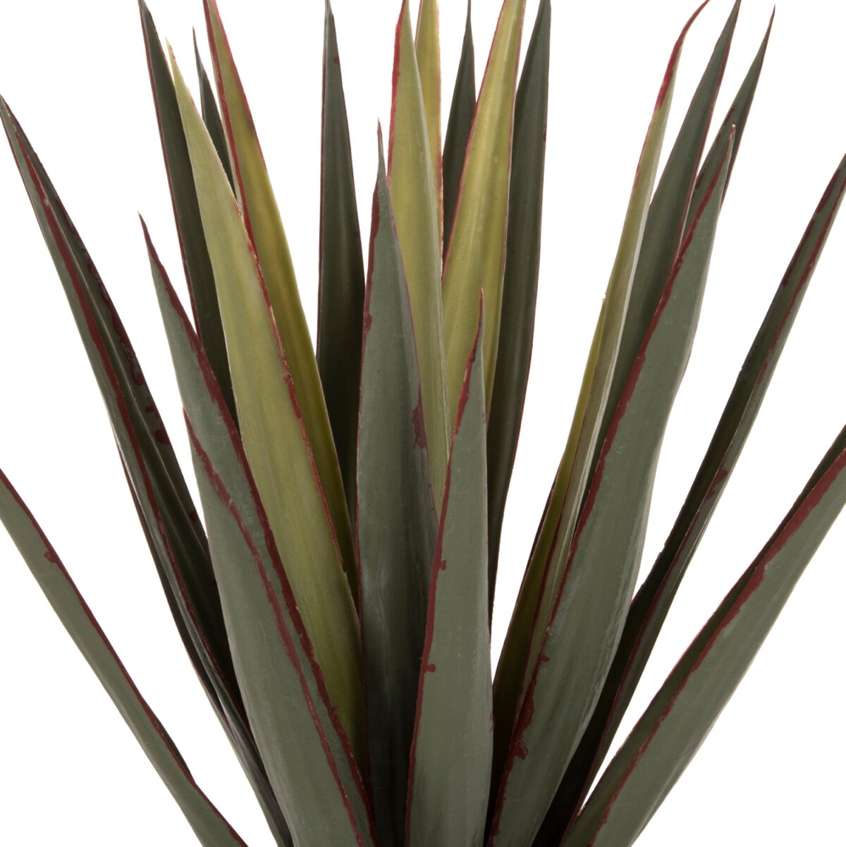 ΔΙΑΚΟΣΜΗΤΙΚΟ ΣΥΝΘΕΤΙΚΟ ΦΥΤΟ LH10.7985 SISAL AGAVE ΣΕ ΓΛΑΣΤΡΑ  Φ13,5x13-76Υεκ. - Image 3