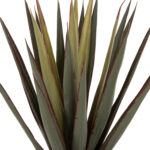 ΔΙΑΚΟΣΜΗΤΙΚΟ ΣΥΝΘΕΤΙΚΟ ΦΥΤΟ LH10.7985 SISAL AGAVE ΣΕ ΓΛΑΣΤΡΑ  Φ13,5x13-76Υεκ. - Image 3