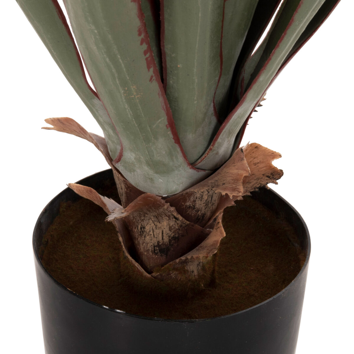 ΔΙΑΚΟΣΜΗΤΙΚΟ ΣΥΝΘΕΤΙΚΟ ΦΥΤΟ LH10.7985 SISAL AGAVE ΣΕ ΓΛΑΣΤΡΑ  Φ13,5x13-76Υεκ. - Image 4