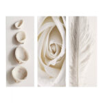 ΠΙΝΑΚΑΣ ΤΡΙΠΤΥΧΟ MDF NATURAL ELEMENTS LH10.7204.05 60X0,3X50 εκ.