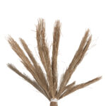 ΔΙΑΚΟΣΜΗΤΙΚΟ ΔΕΝΤΡΟ TROPIC LH10.4322 τ.ΦΟΙΝΙΚΑ ΑΠΟ MENDONG GRASS 360Yεκ. - Image 4