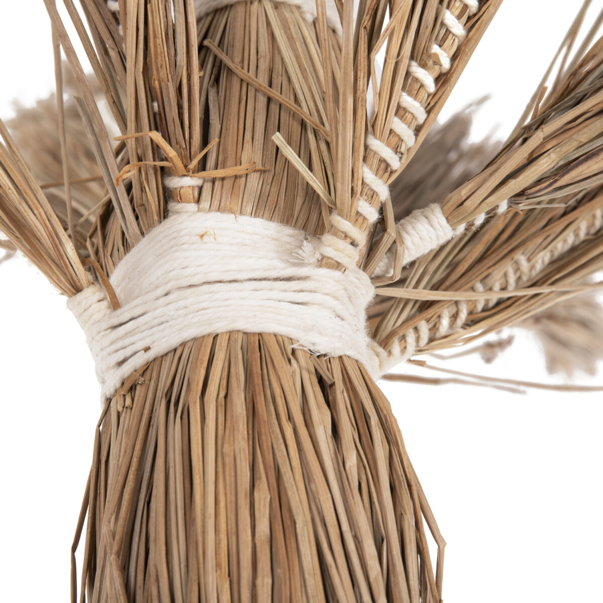 ΔΙΑΚΟΣΜΗΤΙΚΟ ΔΕΝΤΡΟ TROPIC LH10.4323 τ.ΦΟΙΝΙΚΑ ΑΠΟ MENDONG GRASS 310Yεκ. - Image 5