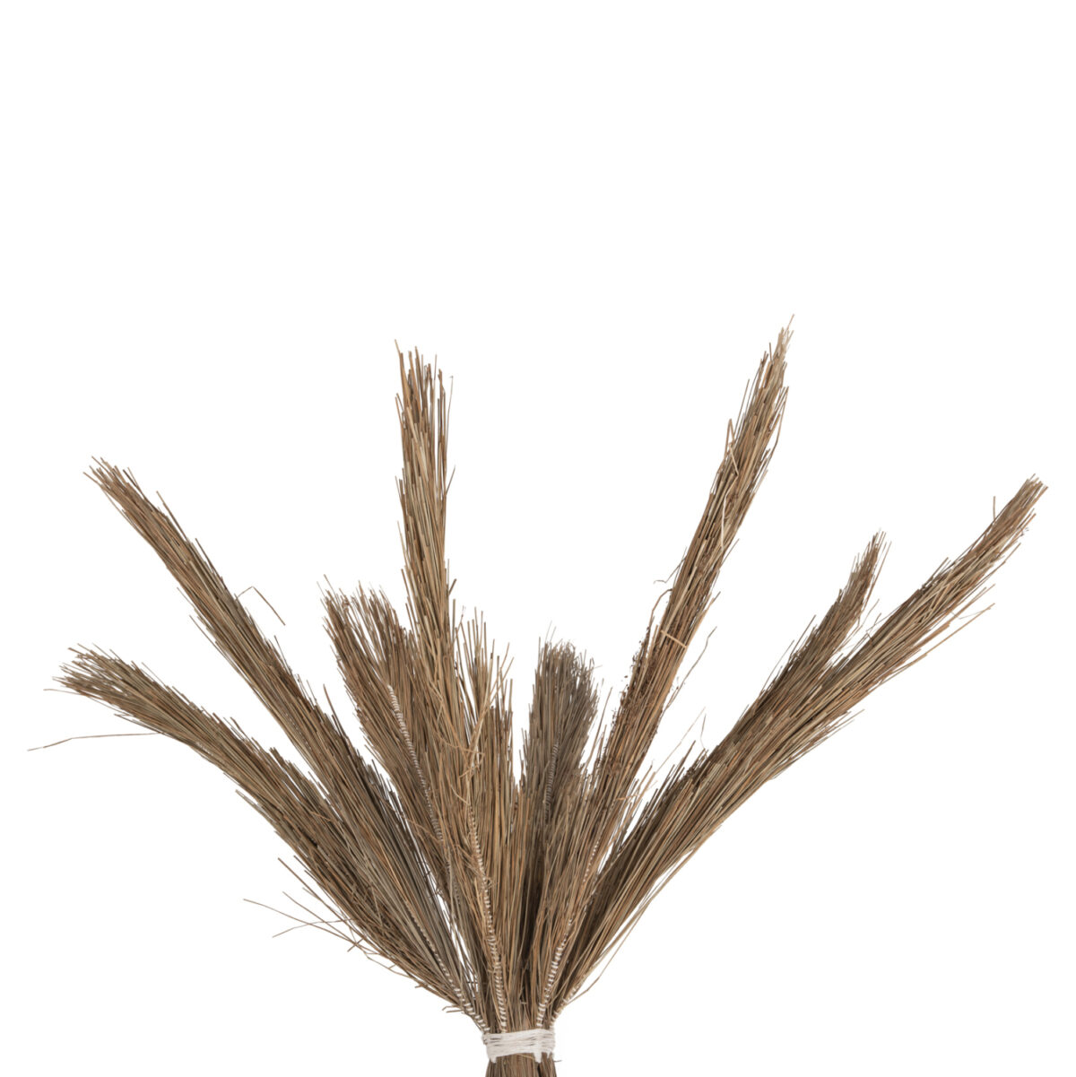 ΔΙΑΚΟΣΜΗΤΙΚΟ ΔΕΝΤΡΟ TROPIC LH10.4324 τ.ΦΟΙΝΙΚΑ ΑΠΟ MENDONG GRASS 280Yεκ. - Image 4