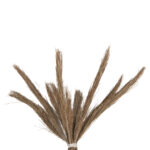 ΔΙΑΚΟΣΜΗΤΙΚΟ ΔΕΝΤΡΟ TROPIC LH10.4324 τ.ΦΟΙΝΙΚΑ ΑΠΟ MENDONG GRASS 280Yεκ. - Image 4