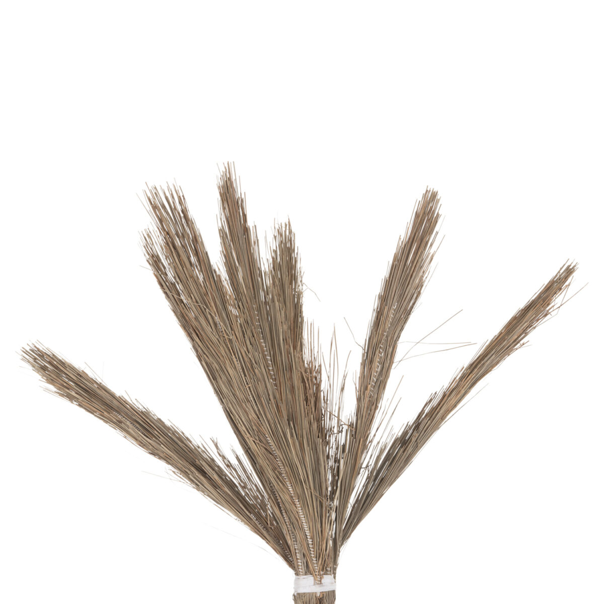 ΔΙΑΚΟΣΜΗΤΙΚΟ ΔΕΝΤΡΟ TROPIC LH10.4325 τ.ΦΟΙΝΙΚΑ ΑΠΟ MENDONG GRASS 210Yεκ. - Image 4