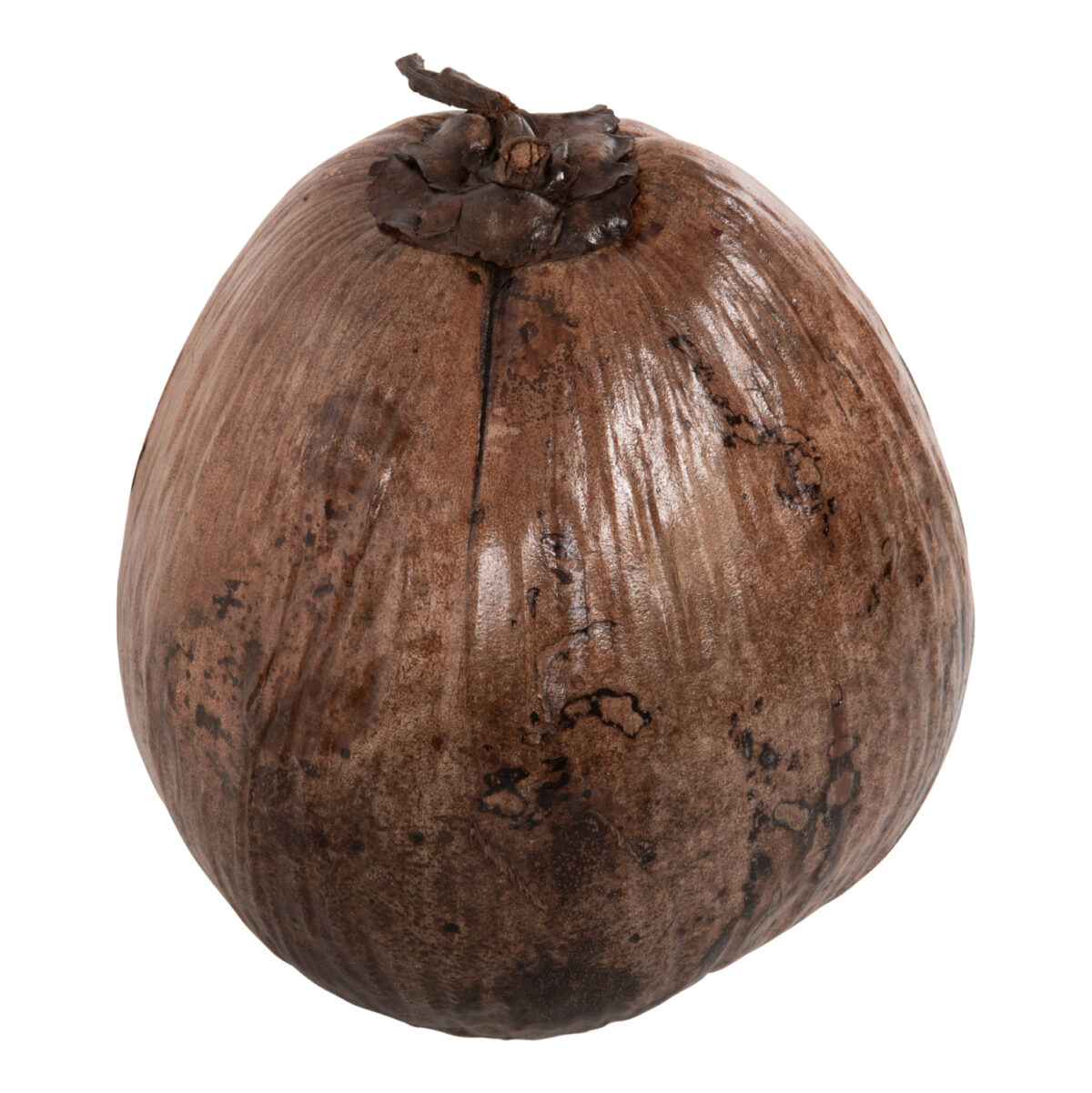 ΕΠΙΤΡΑΠΕΖΙΟ ΔΙΑΚΟΣΜΗΤΙΚΟ LH10.4326.01 ΚΑΡΥΔΑ ΣΕ ΦΥΣΙΚΟ ΧΡΩΜΑ 20x20x20Υεκ - Image 1