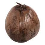 ΕΠΙΤΡΑΠΕΖΙΟ ΔΙΑΚΟΣΜΗΤΙΚΟ LH10.4326.01 ΚΑΡΥΔΑ ΣΕ ΦΥΣΙΚΟ ΧΡΩΜΑ 20x20x20Υεκ