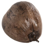 ΕΠΙΤΡΑΠΕΖΙΟ ΔΙΑΚΟΣΜΗΤΙΚΟ LH10.4326.01 ΚΑΡΥΔΑ ΣΕ ΦΥΣΙΚΟ ΧΡΩΜΑ 20x20x20Υεκ - Image 3