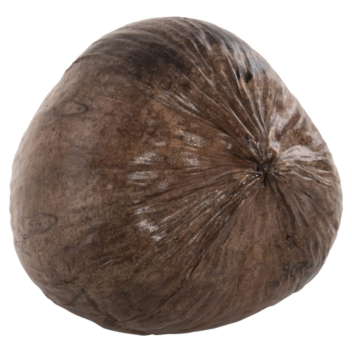 ΕΠΙΤΡΑΠΕΖΙΟ ΔΙΑΚΟΣΜΗΤΙΚΟ LH10.4326.01 ΚΑΡΥΔΑ ΣΕ ΦΥΣΙΚΟ ΧΡΩΜΑ 20x20x20Υεκ - Image 4