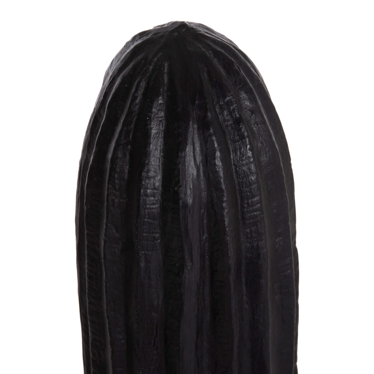 ΔΙΑΚΟΣΜΗΤΙΚΟΣ ΚΑΚΤΟΣ ΔΑΠΕΔΟΥ CACTUS LH10.4386.01L ΓΥΨΟΣ ΣΕ ΜΑΥΡΟ 63x37x150Υεκ. - Image 5