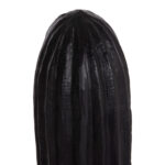 ΔΙΑΚΟΣΜΗΤΙΚΟΣ ΚΑΚΤΟΣ ΔΑΠΕΔΟΥ CACTUS LH10.4386.01L ΓΥΨΟΣ ΣΕ ΜΑΥΡΟ 63x37x150Υεκ. - Image 5