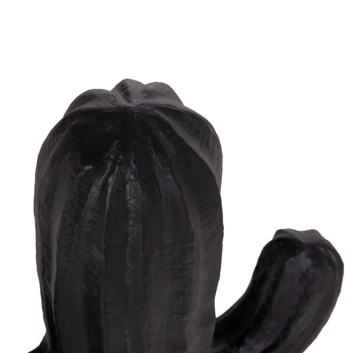 ΔΙΑΚΟΣΜΗΤΙΚΟΣ ΚΑΚΤΟΣ ΔΑΠΕΔΟΥ CACTUS LH10.4386.01S ΓΥΨΟΣ ΣΕ ΜΑΥΡΟ 42x30x74Υεκ. - Image 5