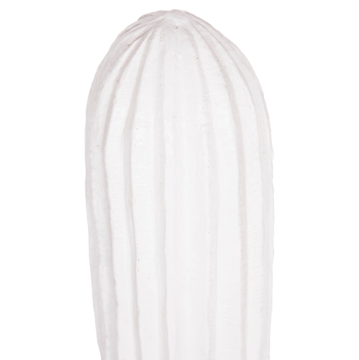 ΔΙΑΚΟΣΜΗΤΙΚΟΣ ΚΑΚΤΟΣ ΔΑΠΕΔΟΥ CACTUS LH10.4386.02L ΓΥΨΟΣ ΣΕ ΛΕΥΚΟ 63x37x150Υεκ. - Image 4