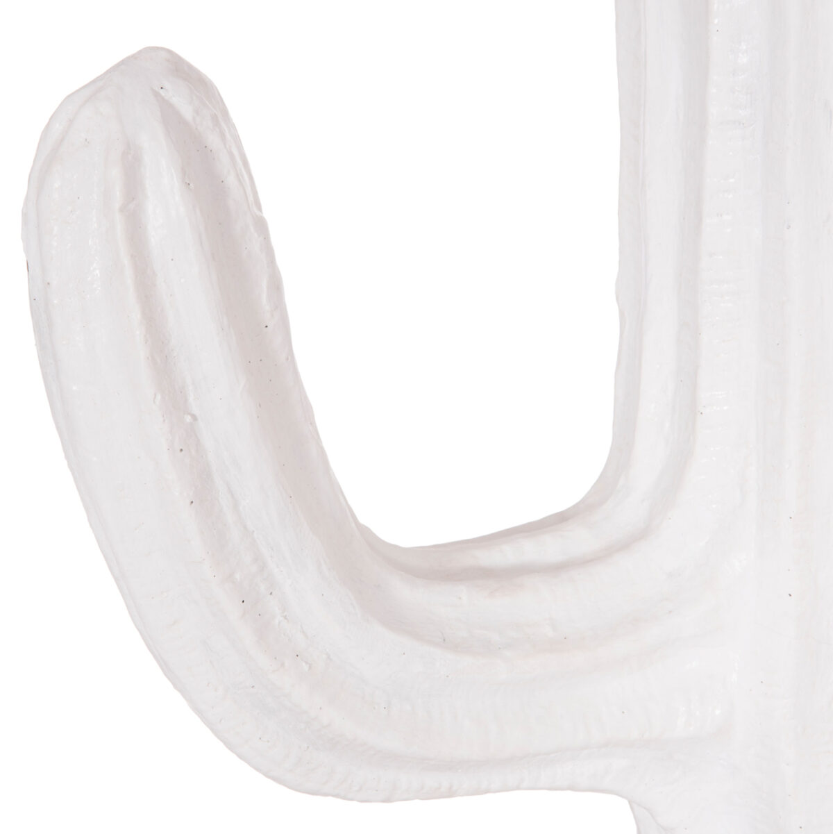 ΔΙΑΚΟΣΜΗΤΙΚΟΣ ΚΑΚΤΟΣ ΔΑΠΕΔΟΥ CACTUS LH10.4386.02L ΓΥΨΟΣ ΣΕ ΛΕΥΚΟ 63x37x150Υεκ. - Image 5