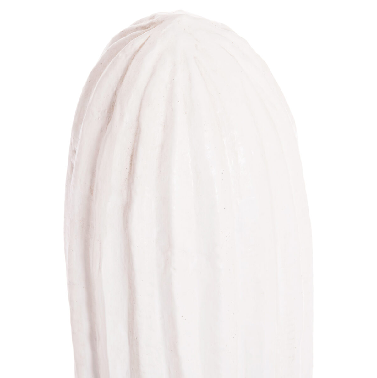 ΔΙΑΚΟΣΜΗΤΙΚΟΣ ΚΑΚΤΟΣ ΔΑΠΕΔΟΥ CACTUS LH10.4386.02M ΓΥΨΟΣ ΣΕ ΛΕΥΚΟ 54x34x103Υεκ. - Image 5