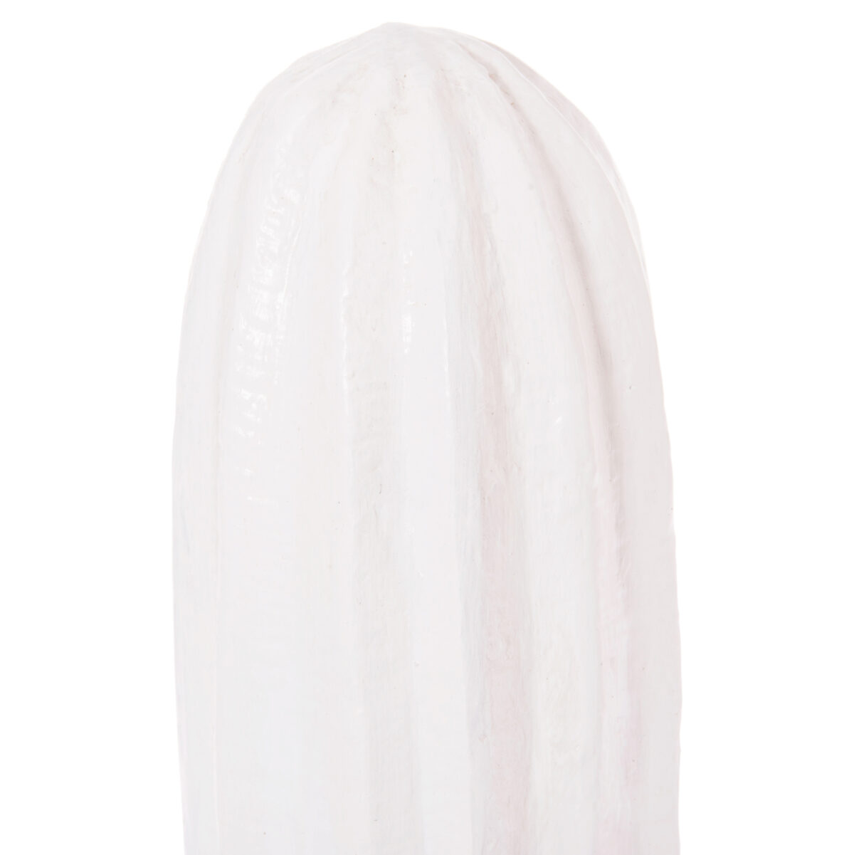 ΔΙΑΚΟΣΜΗΤΙΚΟΣ ΚΑΚΤΟΣ ΔΑΠΕΔΟΥ CACTUS LH10.4386.02S ΓΥΨΟΣ ΣΕ ΛΕΥΚΟ 42x30x74Υεκ - Image 5