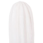 ΔΙΑΚΟΣΜΗΤΙΚΟΣ ΚΑΚΤΟΣ ΔΑΠΕΔΟΥ CACTUS LH10.4386.02S ΓΥΨΟΣ ΣΕ ΛΕΥΚΟ 42x30x74Υεκ - Image 5