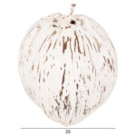 ΕΠΙΤΡΑΠΕΖΙΟ ΔΙΑΚΟΣΜΗΤΙΚΟ LH10.4326.05 ΚΑΡΥΔΑ ΣΕ ΛΕΥΚΟ ΧΡΩΜΑ 20x20x20Υεκ - Image 2