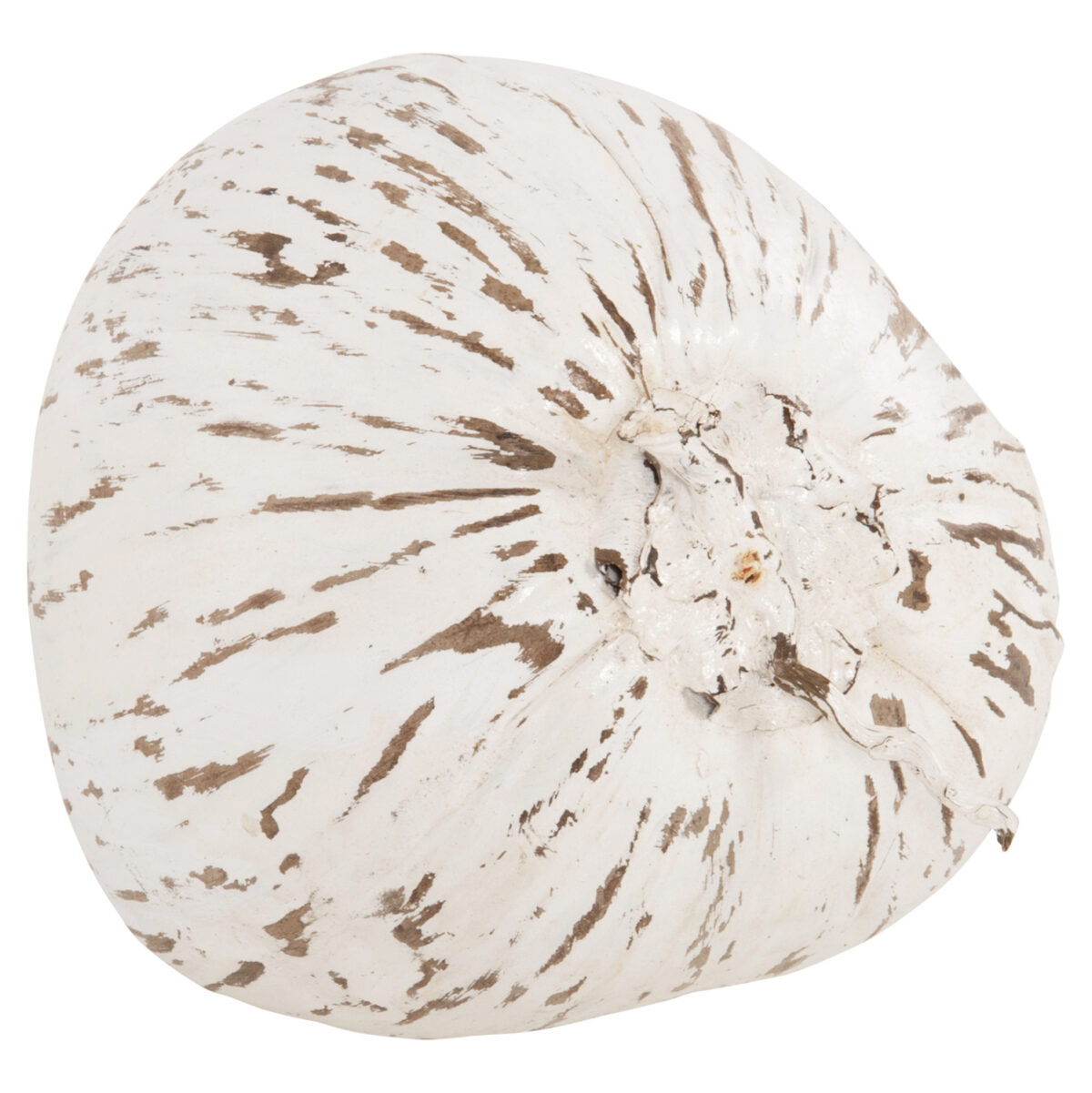 ΕΠΙΤΡΑΠΕΖΙΟ ΔΙΑΚΟΣΜΗΤΙΚΟ LH10.4326.05 ΚΑΡΥΔΑ ΣΕ ΛΕΥΚΟ ΧΡΩΜΑ 20x20x20Υεκ - Image 4