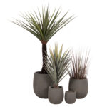 ΣΕΤ 4ΤΜΧ ΓΛΑΣΤΡΕΣ ΣΤΡΟΓΓΥΛΕΣ GARDENER LH10.4726 FIBERCLAY ΓΚΡΙΖΟΠΡΑΣΙΝΟ Φ52x55Υεκ